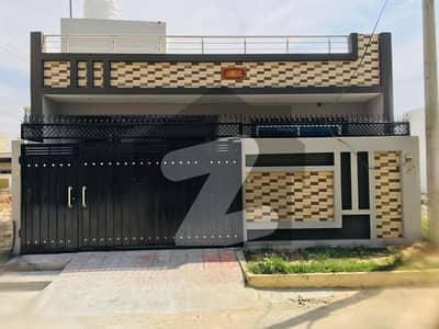 نیو