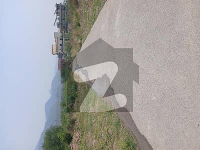 ڈی