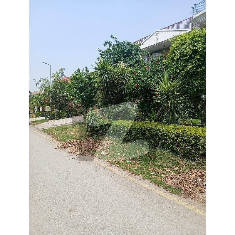 F11/2 600syd Plot Very Beautiful Location F11/2 600syd Plot Very Beautiful Location