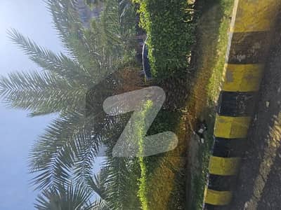 Gulberg
