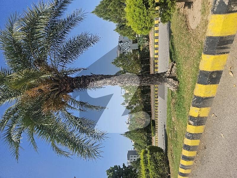 Gulberg Residencia block Block T Gulberg Residencia block Block T