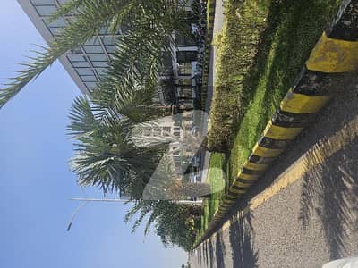 Gulberg