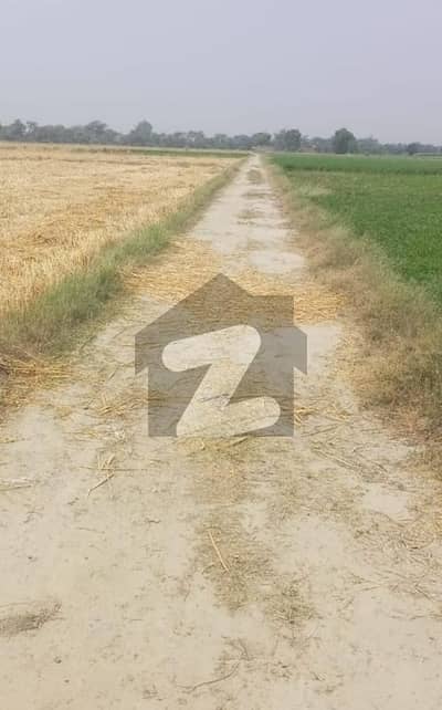 Open Land For Sale - 1.5 Km Away From Barki Kohrian