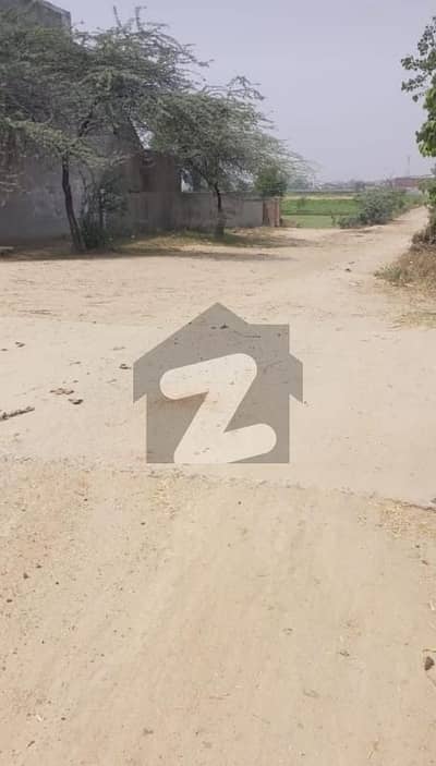 برکی