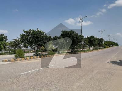 You Can Find A Gorgeous Residential Plot For Sale In Top City 1 - Block A You Can Find A Gorgeous Residential Plot For Sale In Top City 1 - Block A
