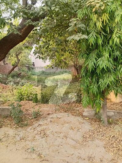 22 Marla Plot For Sale In TECH Society
