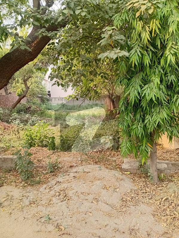 22 Marla Plot For Sale In TECH Society 22 Marla Plot For Sale In TECH Society