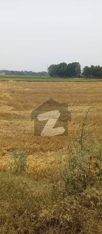 Open Land For Sale In Barki & Bedian Road Open Land For Sale In Barki & Bedian Road
