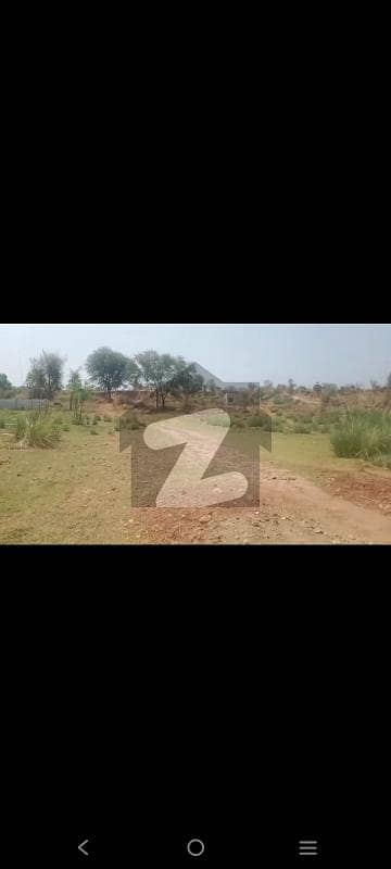 Looking For A Residential Plot In Chakbeli Road Looking For A Residential Plot In Chakbeli Road