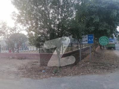 ایف