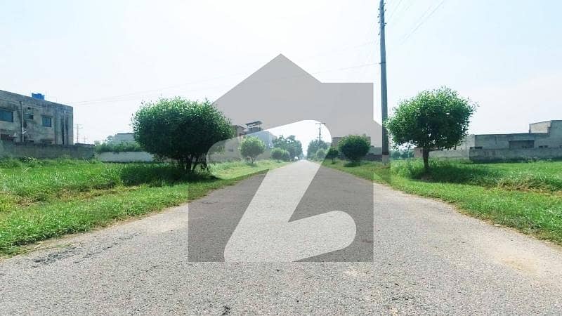 24 