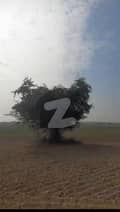 39 