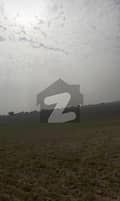41 
