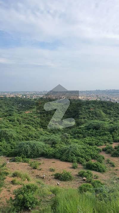 لہتاراڑ روڈ اسلام آباد میں 100 کنال زرعی زمین 10.0 ارب میں برائے فروخت۔