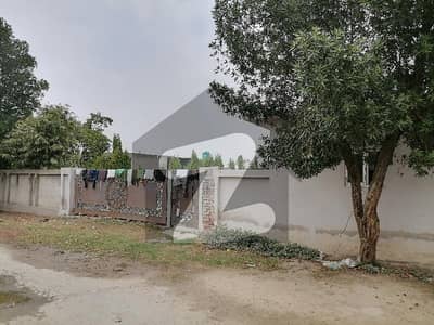 برکی