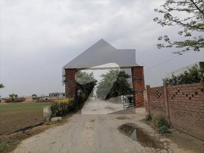 برکی