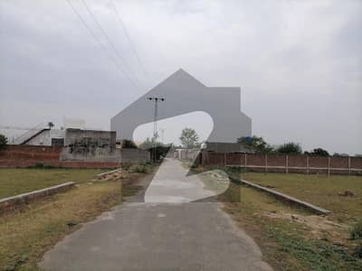 برکی