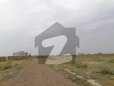 برکی