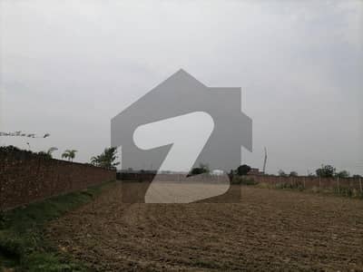 برکی