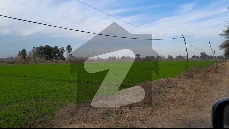 11 Acre Agricultural land For Sale 11 Acre Agricultural land For Sale