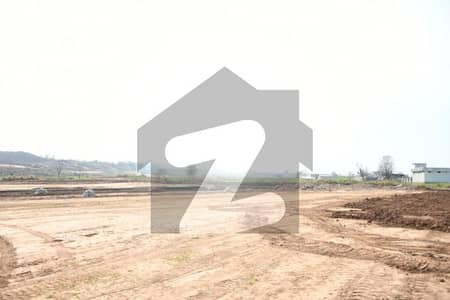 Sector
