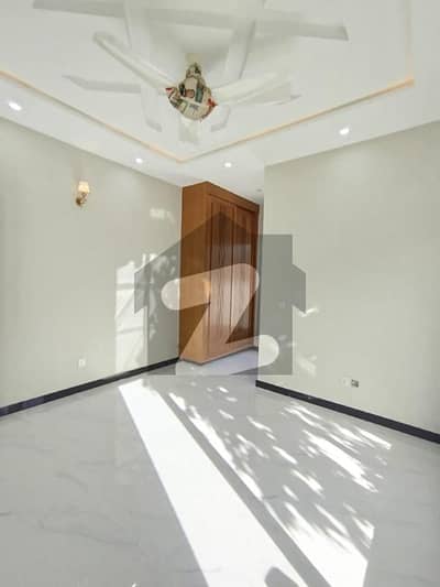 BRAND NEW 8M DESIGNER MURRE FACING AVAILABLE FOR SALE