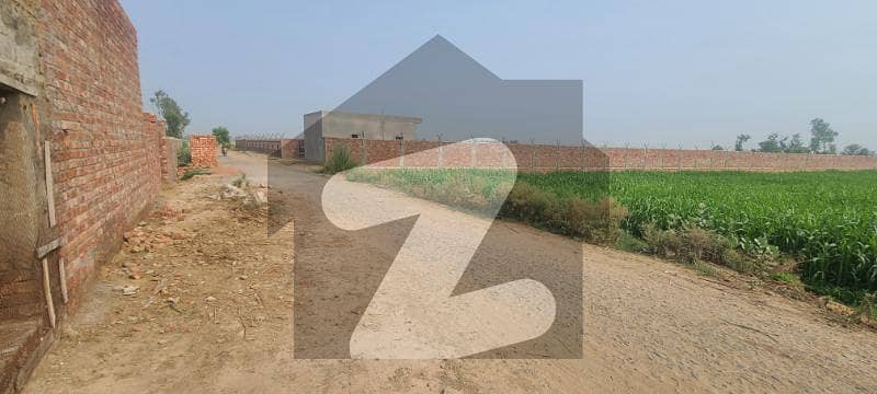 جلال پورہ لاہور میں 10 کنال زرعی زمین 2.5 کروڑ میں برائے فروخت۔ جلال پورہ لاہور میں 10 کنال زرعی زمین 2.5 کروڑ میں برائے فروخت۔