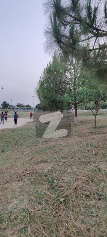 بی