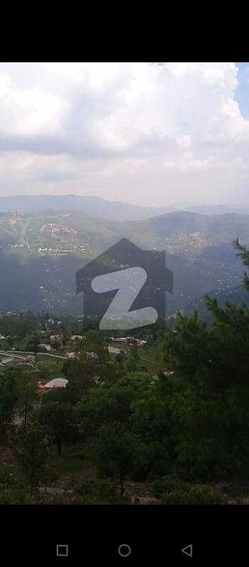 Expressway Murree Plot For Sale Expressway Murree Plot For Sale