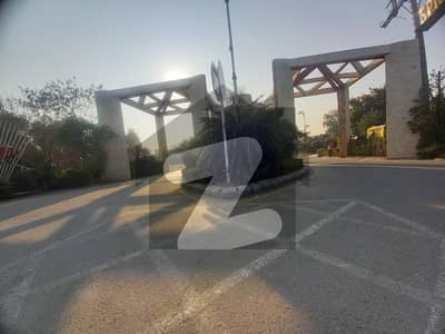 پام