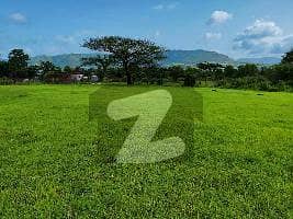25 Kanal Land Available in Chakri. 25 Kanal Land Available in Chakri.