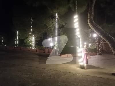 مری