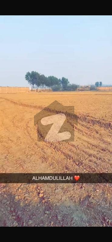برکی روڈ کینٹ,لاہور میں 8 کنال فارم ہاؤس 6.0 کروڑ میں برائے فروخت۔ برکی روڈ کینٹ,لاہور میں 8 کنال فارم ہاؤس 6.0 کروڑ میں برائے فروخت۔