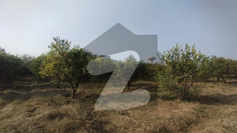 477 Plot 10 MARLA 477 Plot 10 MARLA