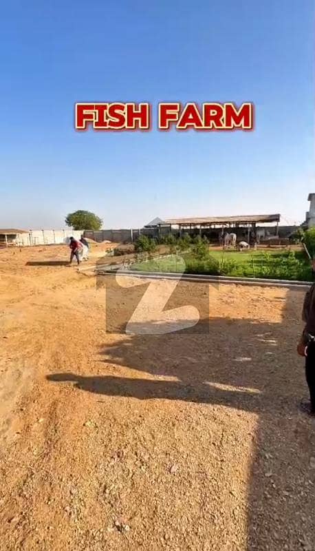 Cattle Farm Plots Farm House Plots Dairy & Goat Farm Plots Cattle Farm Plots Farm House Plots Dairy & Goat Farm Plots