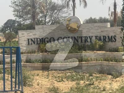 Beautiful Farm Houses For Sale | Registry Inteqaal