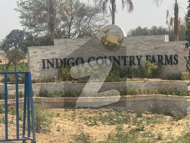 Beautiful Farm Houses For Sale | Registry Inteqaal Beautiful Farm Houses For Sale | Registry Inteqaal