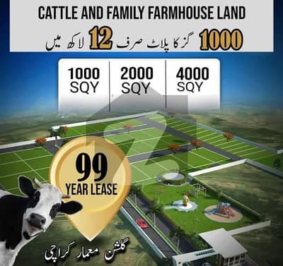 CATTLE