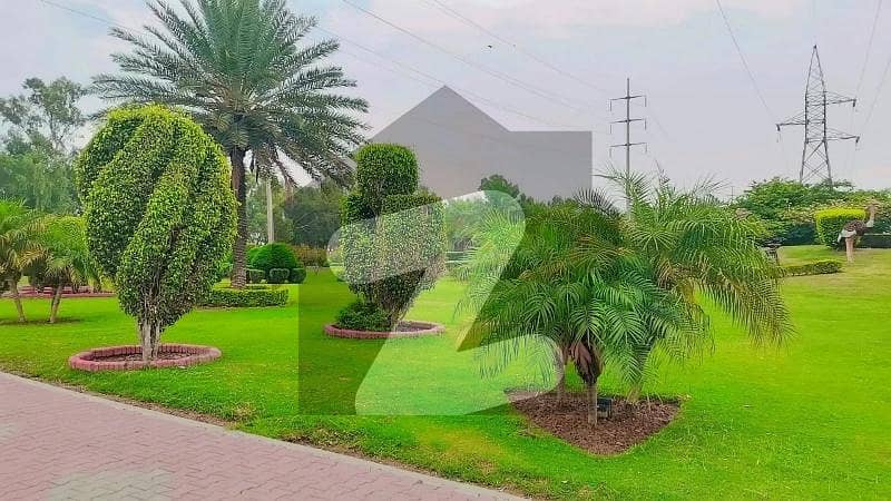 21 