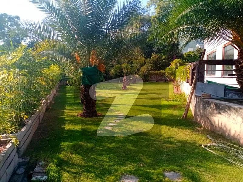 5 Kanal Hot Street Property Is For SALE 5 Kanal Hot Street Property Is For SALE