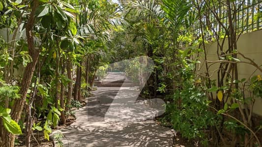 Breathtaking 1000 Square Yard Residence with Lush Greenery, Off 13th South Street, Sunset Boulevard Phase 2 DHA Breathtaking 1000 Square Yard Residence with Lush Greenery, Off 13th South Street, Sunset Boulevard Phase 2 DHA
