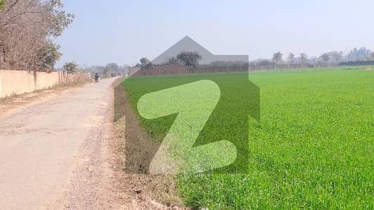 بیدیاں
