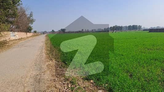 بیدیاں