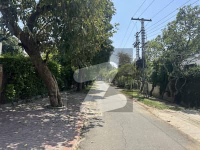 پیراگون