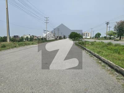 5 Marla Plot At A Reasonable Price For Sale 5 Marla Plot At A Reasonable Price For Sale