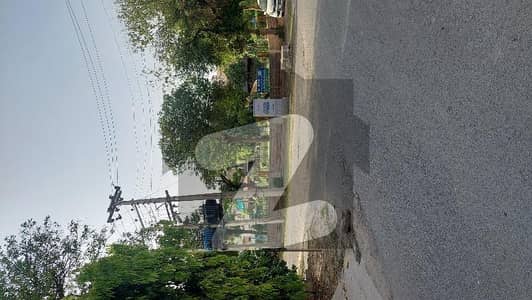 طارق