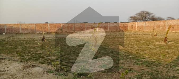 بیدیاں