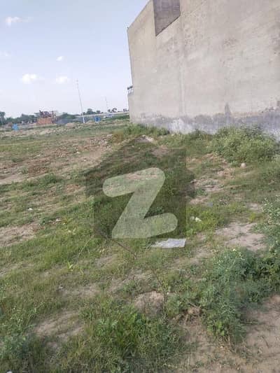 پیراگون