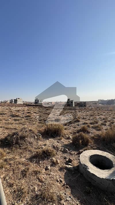 جناح
