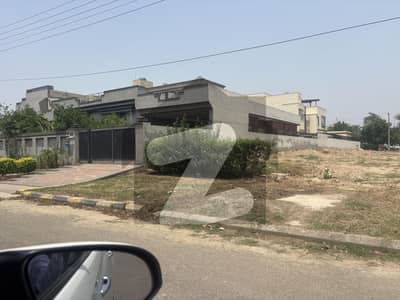 ویلینشیاء